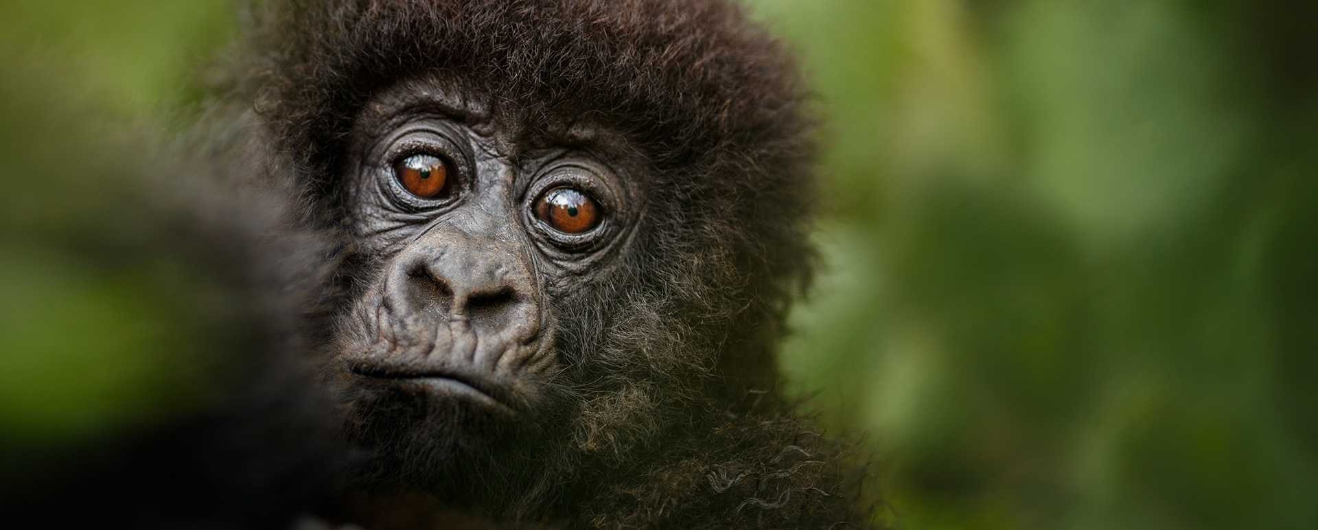 Rwanda