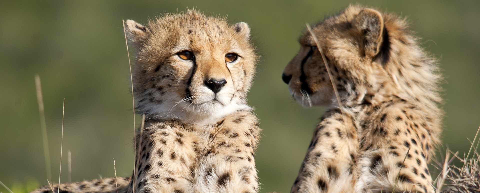 Tanzania
