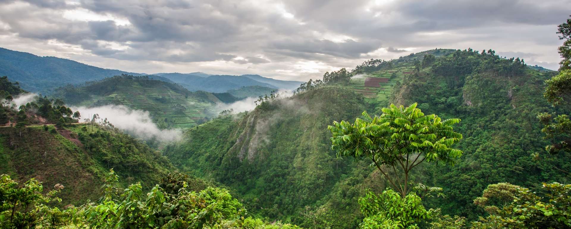 Mount Gahinga