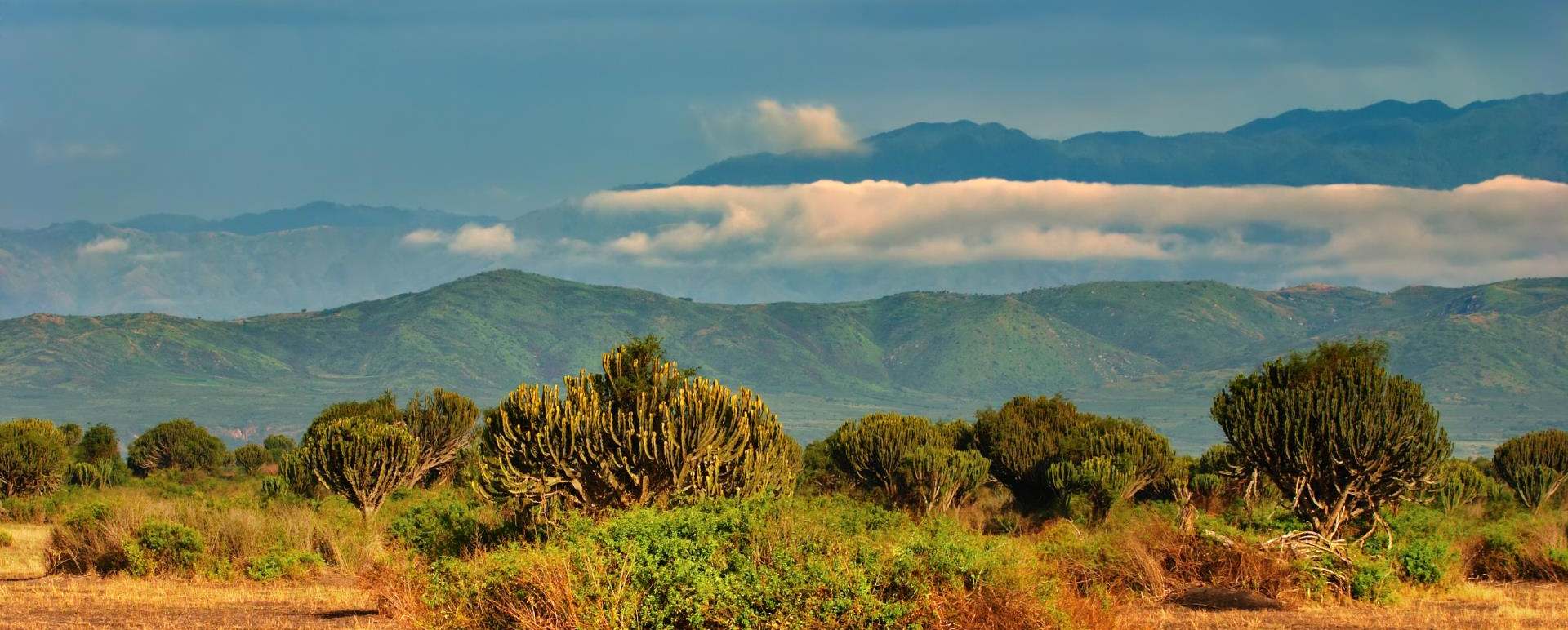Queen Elizabeth National Park