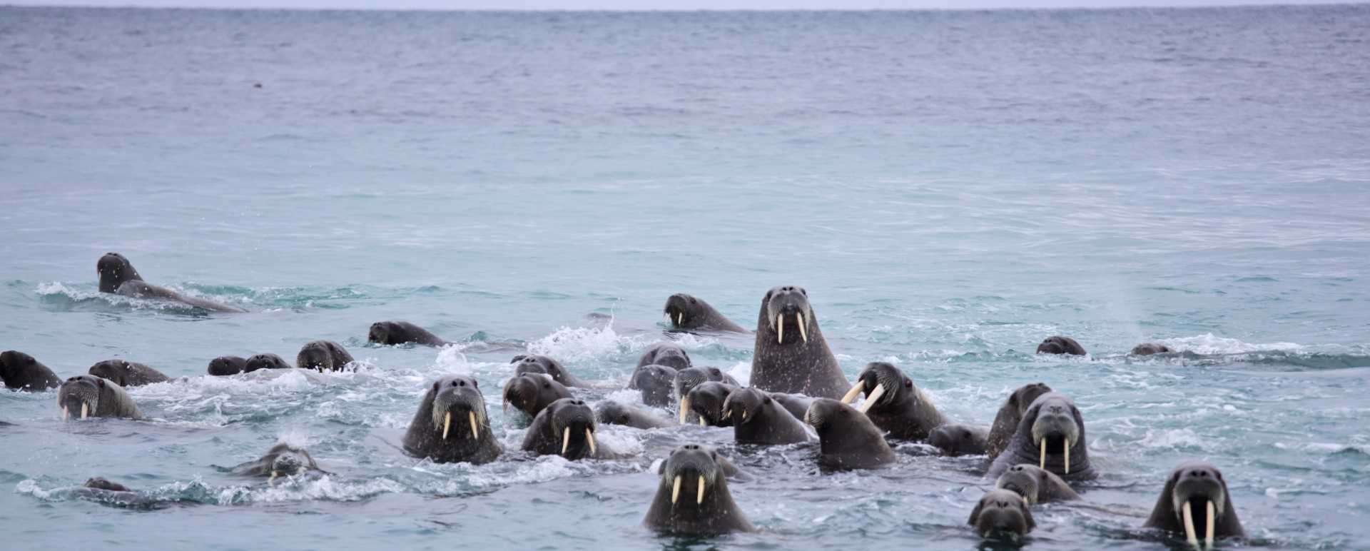 Hinlopen Strait