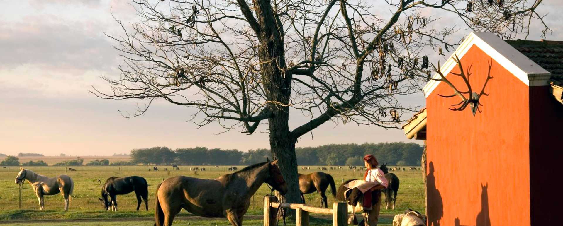 Saddling up the horses - Estancia La Bamba