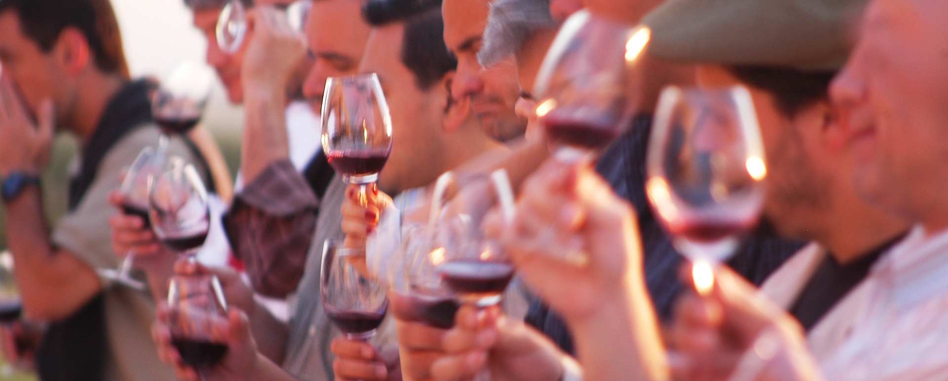 Wine tasting in Mendoza 