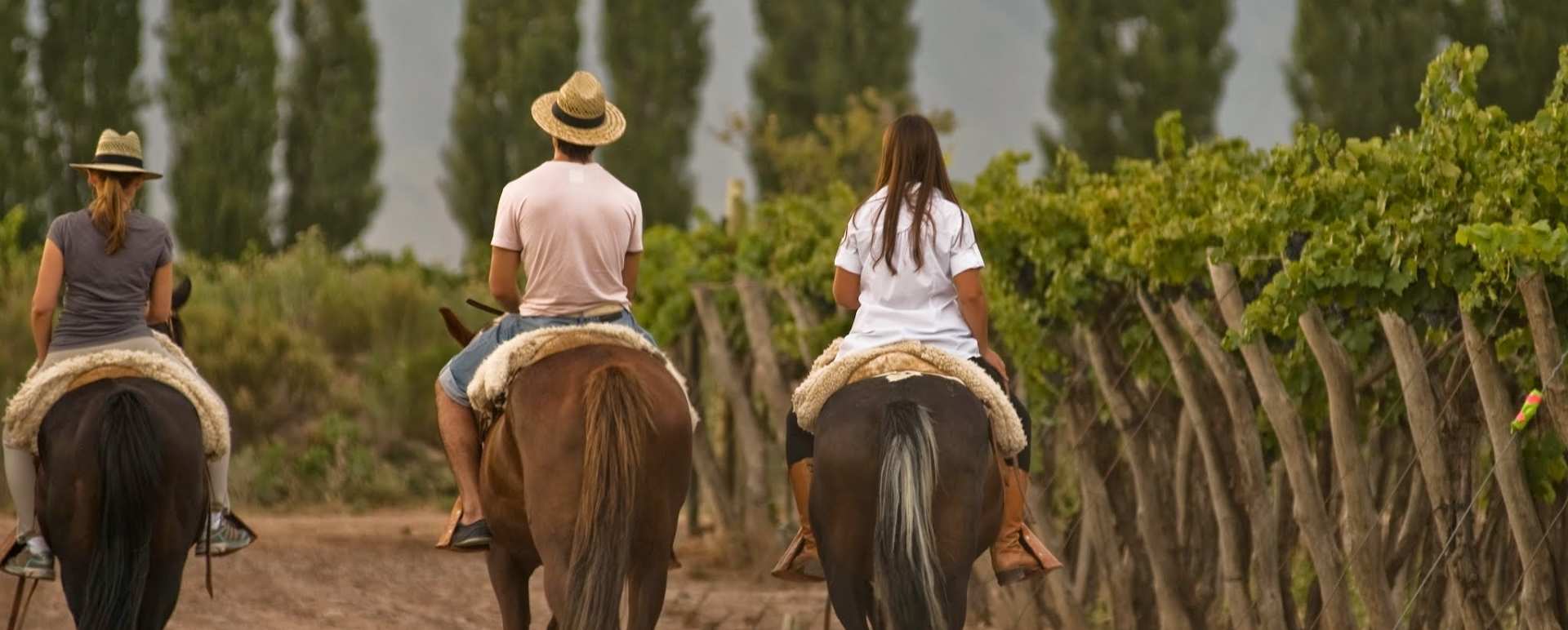 Mendoza 