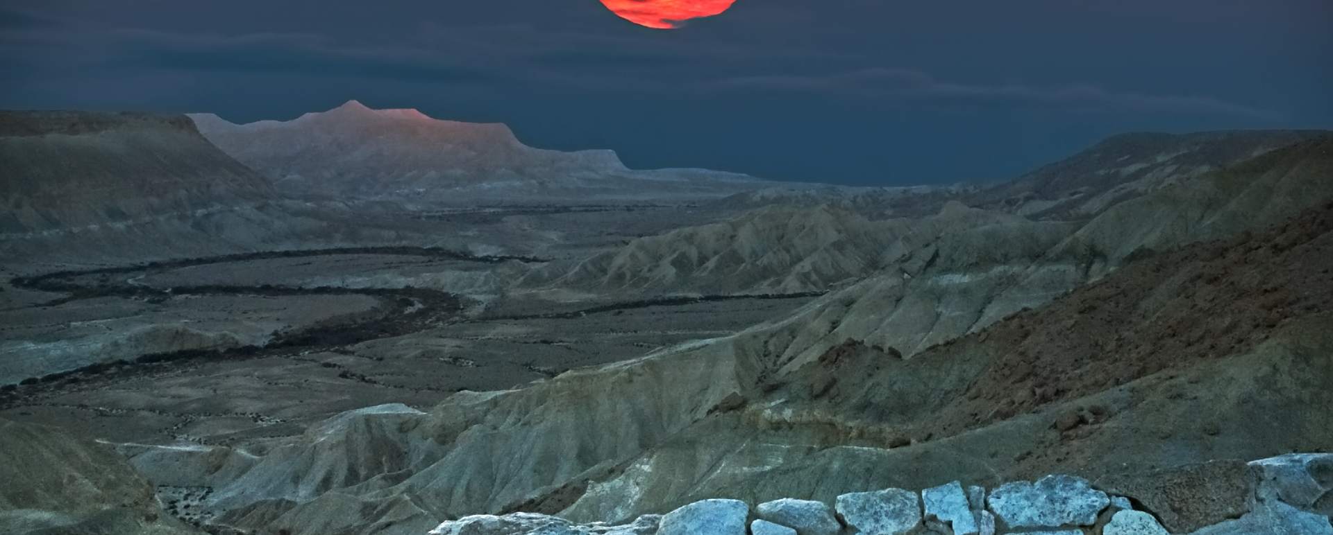 Negev Desert