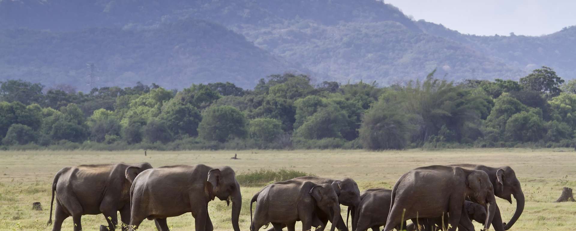 Sri Lankas National Parks
