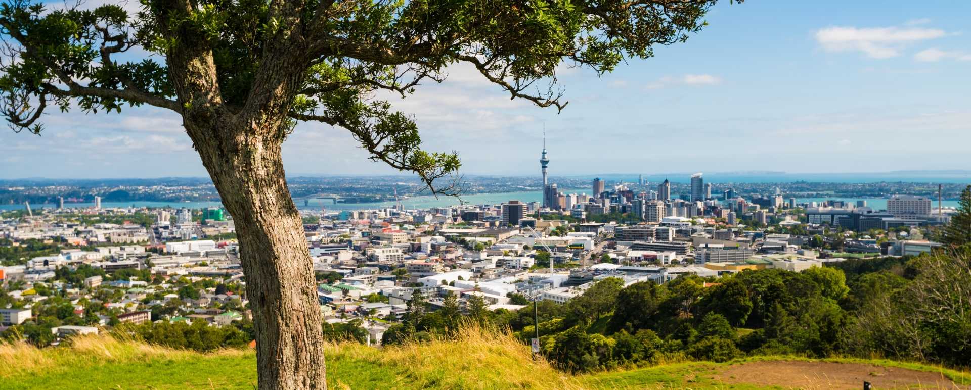 Auckland