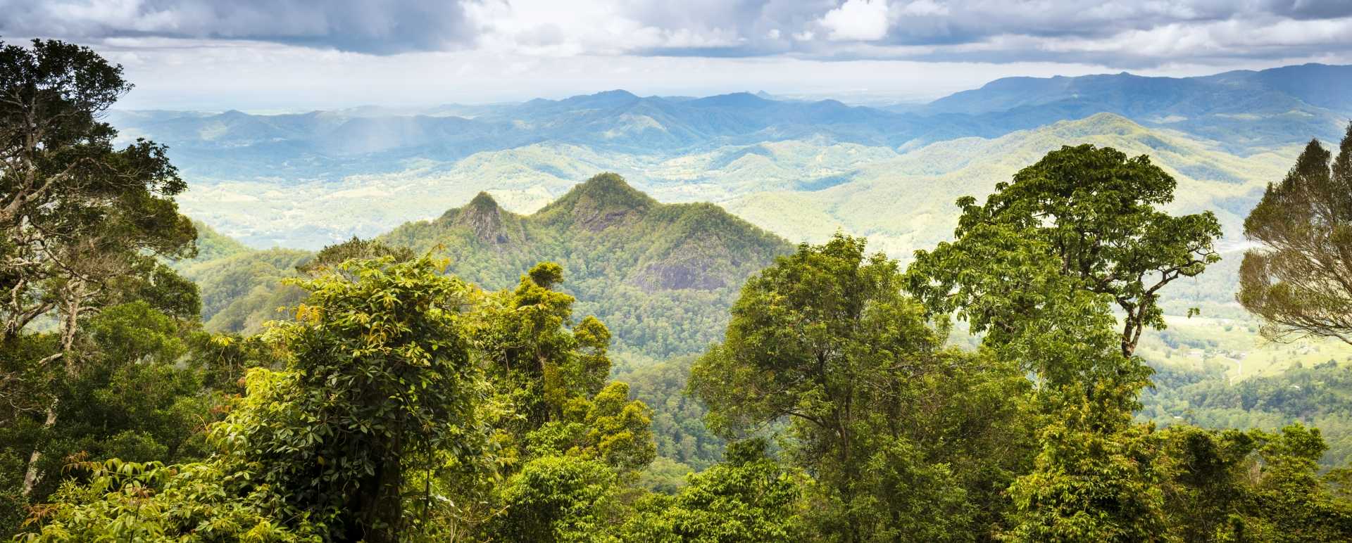 Daintree National Park