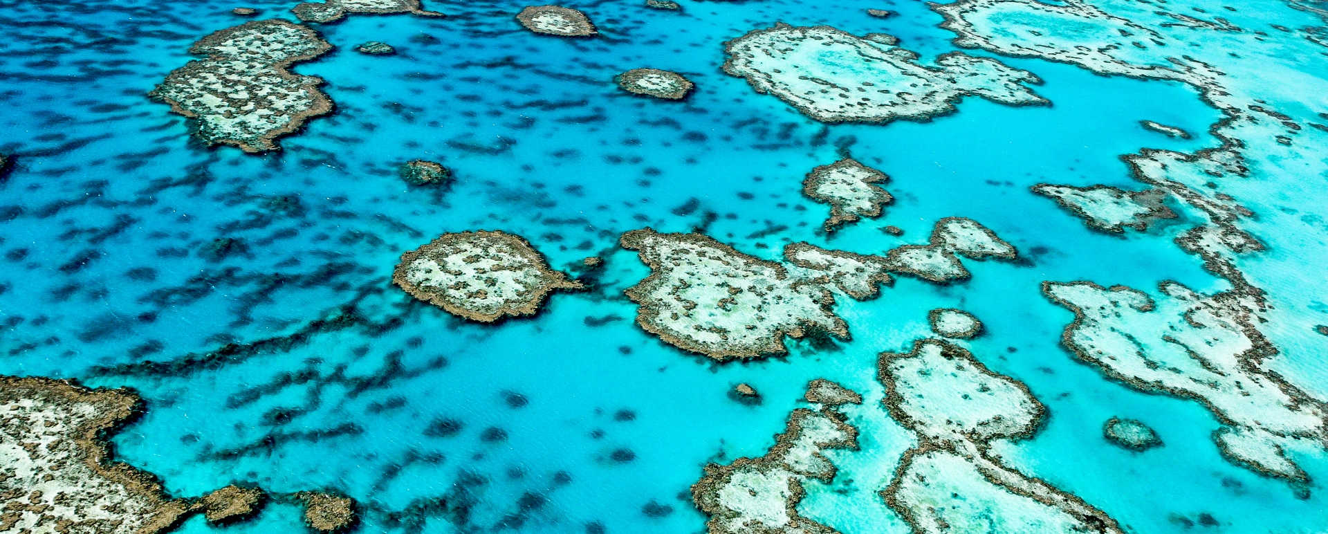 Great Barrier Reef and Islands