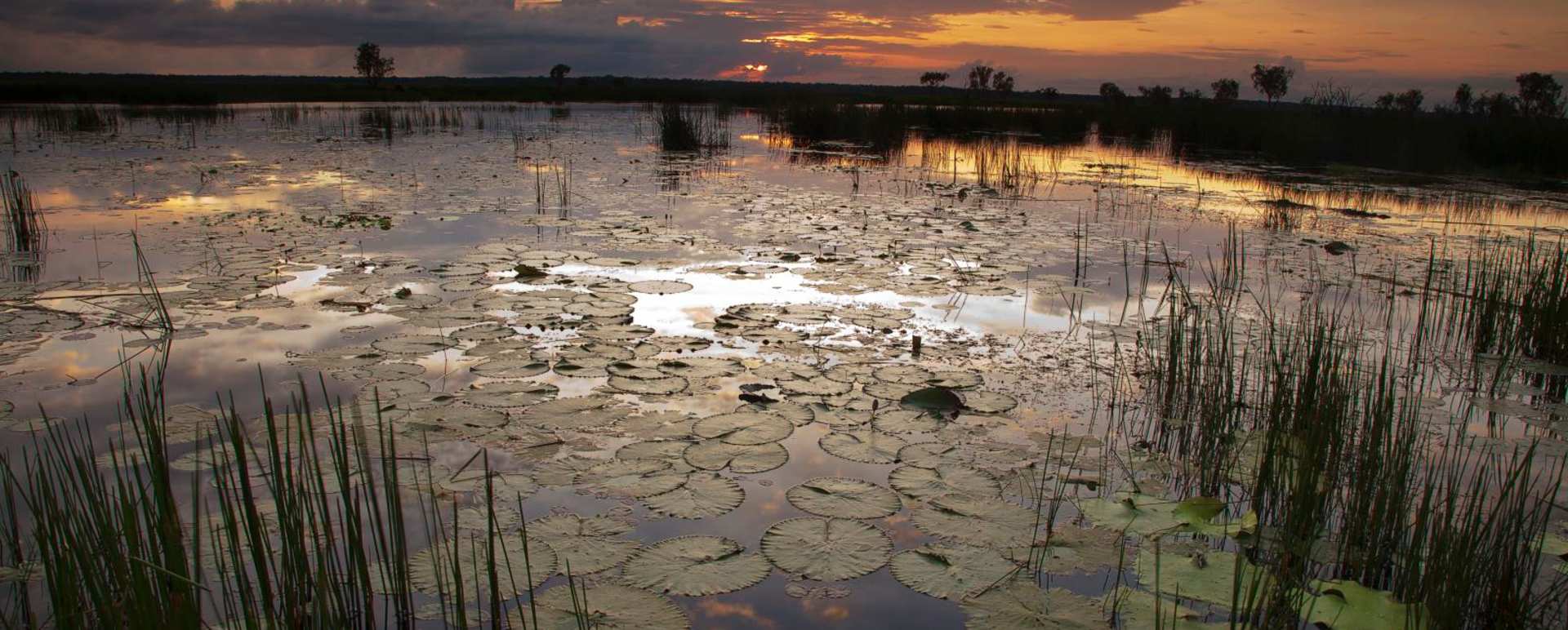 Bamurru Plains