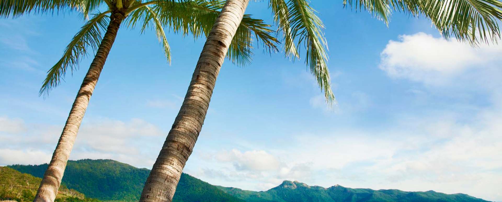 Beach -  Hayman Island