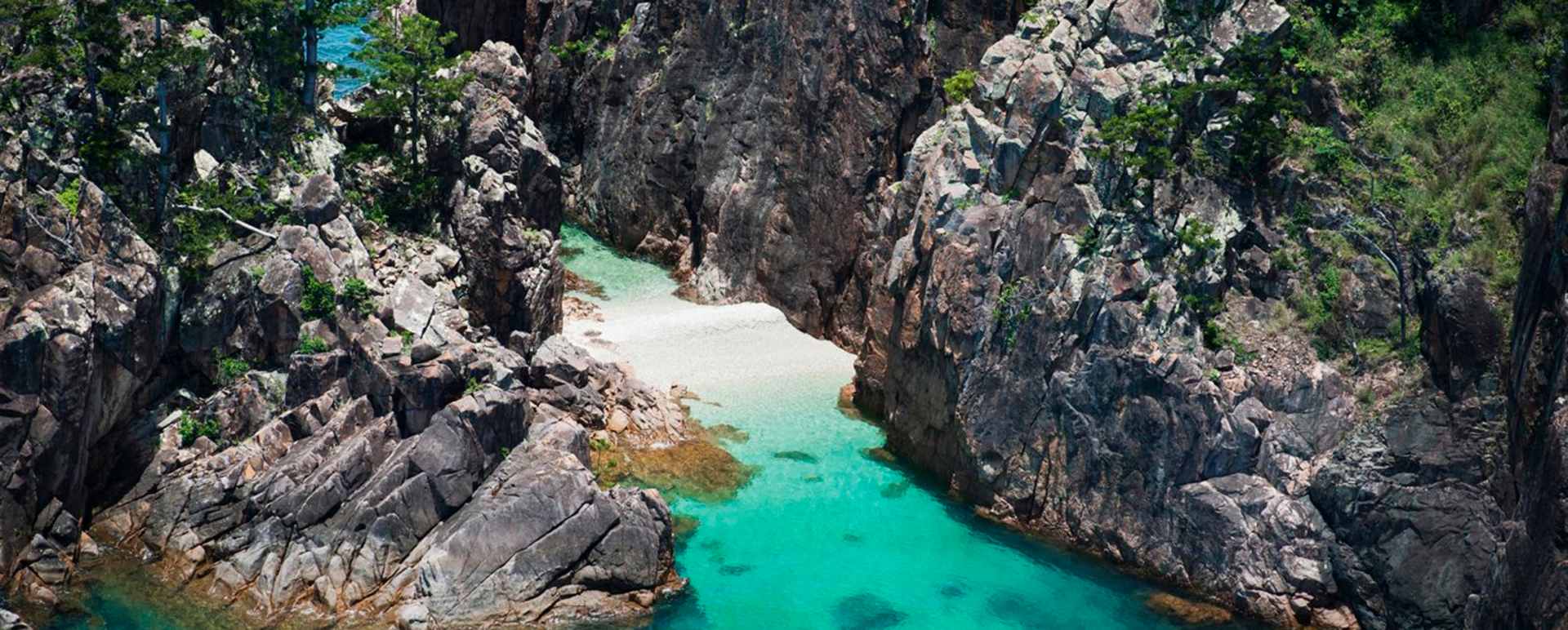 Blue Pearl Bay -  Hayman Island