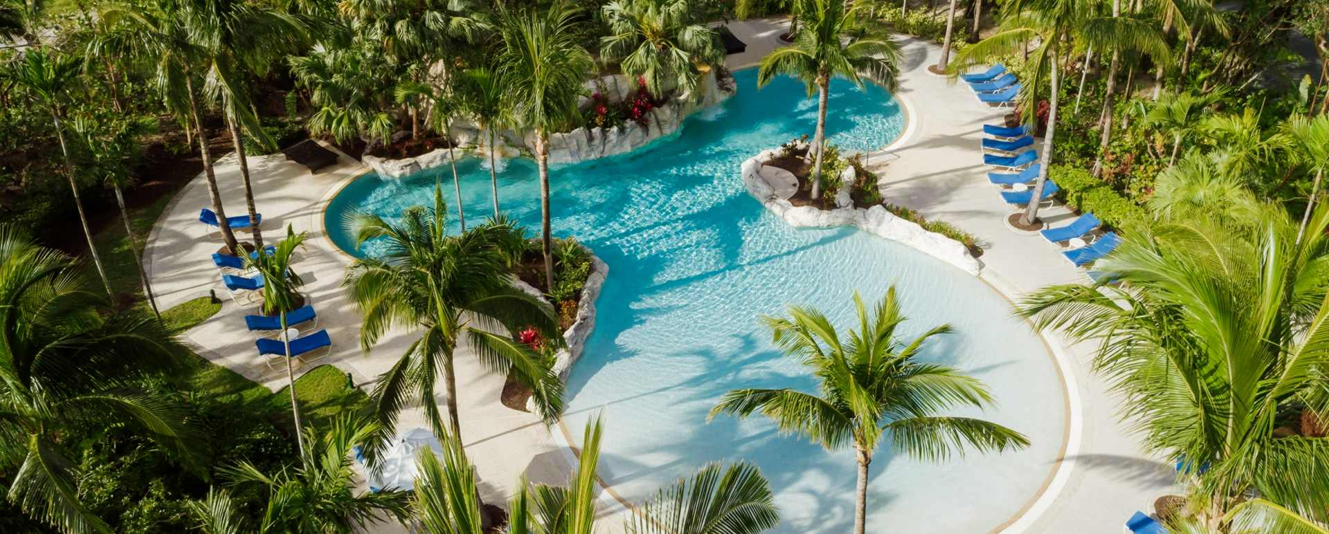 Pool - The Ocean Club 