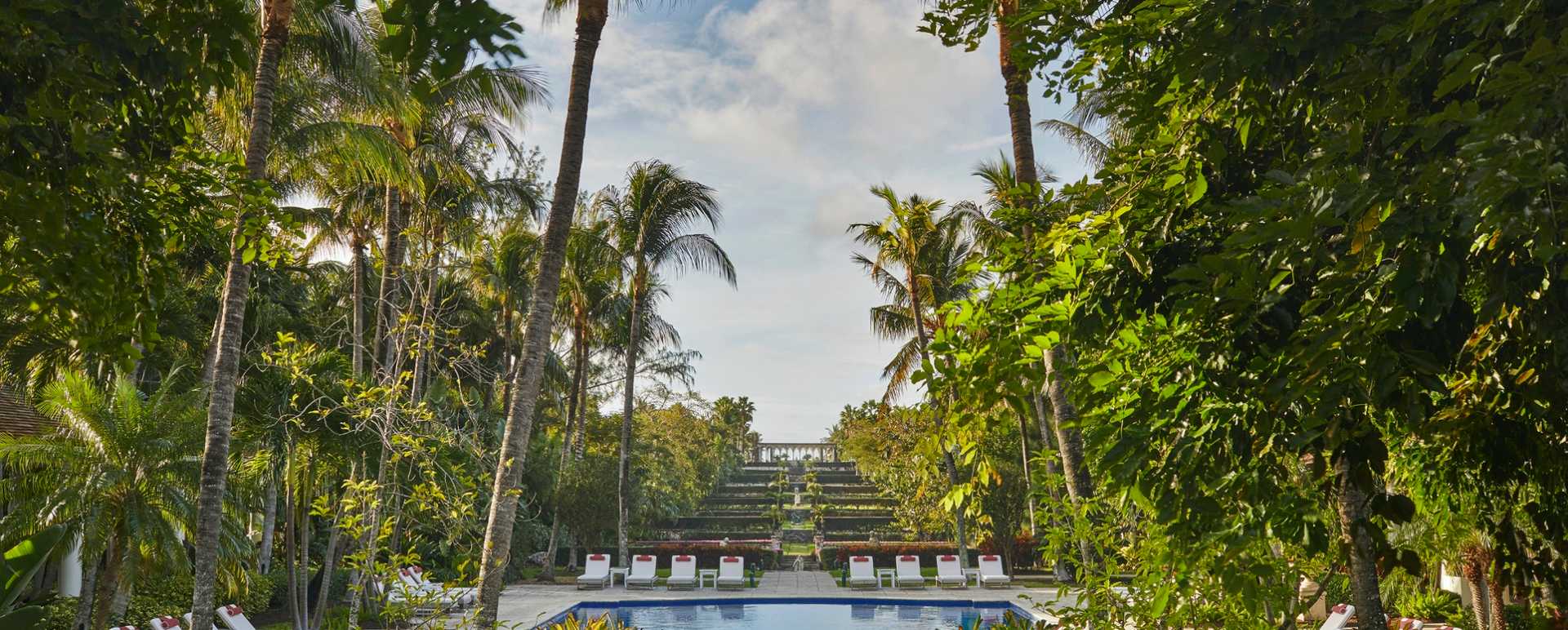 Pool - The Ocean Club  