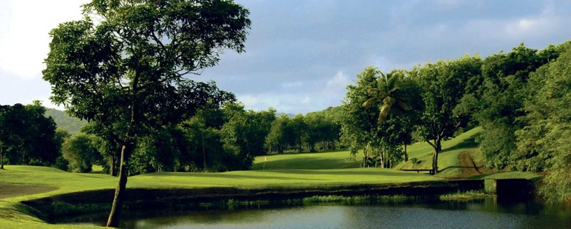 Golf Course 2 