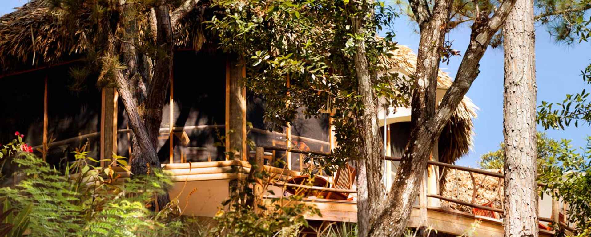 Waterfall Suite - Gaia River Lodge