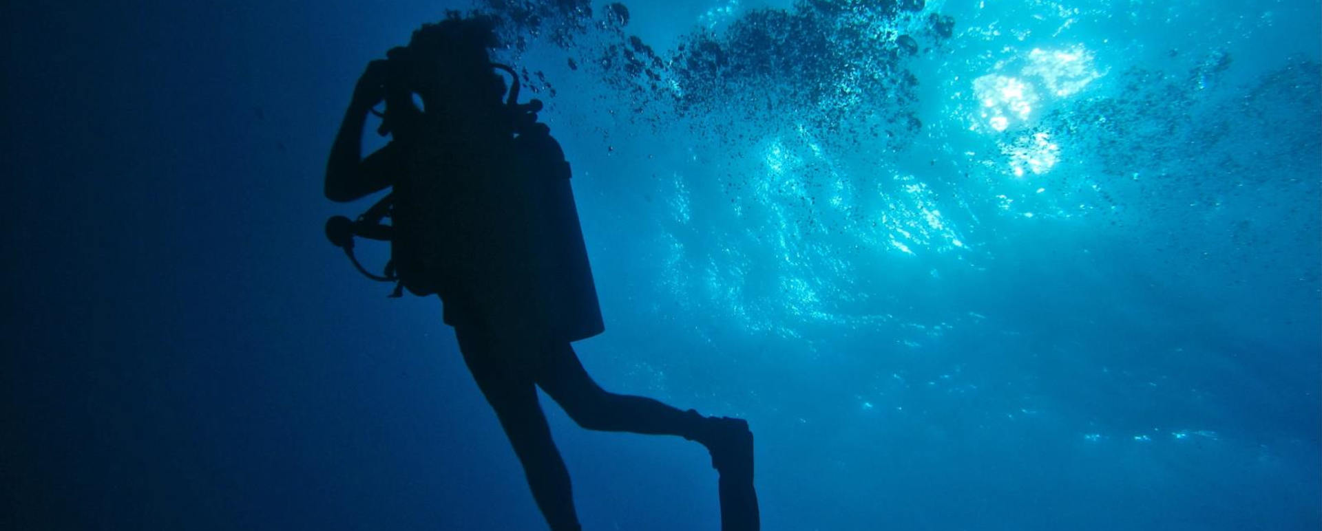 Diving - Dive into Belize