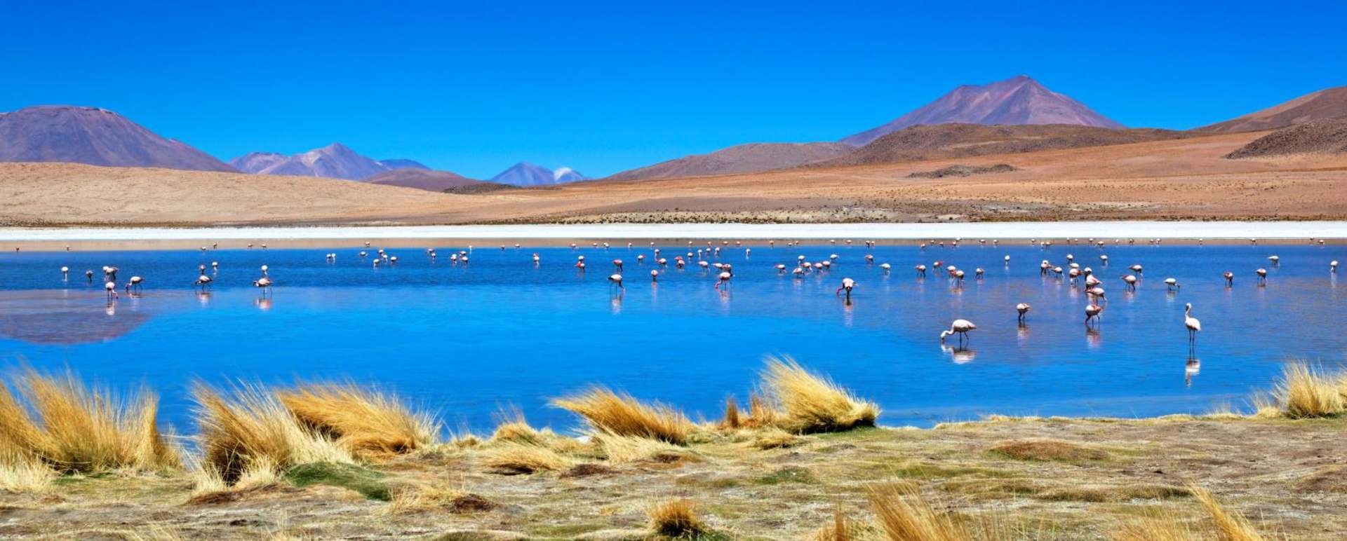 Altiplanic lagoons - High Adventure in the Bolivian Desert