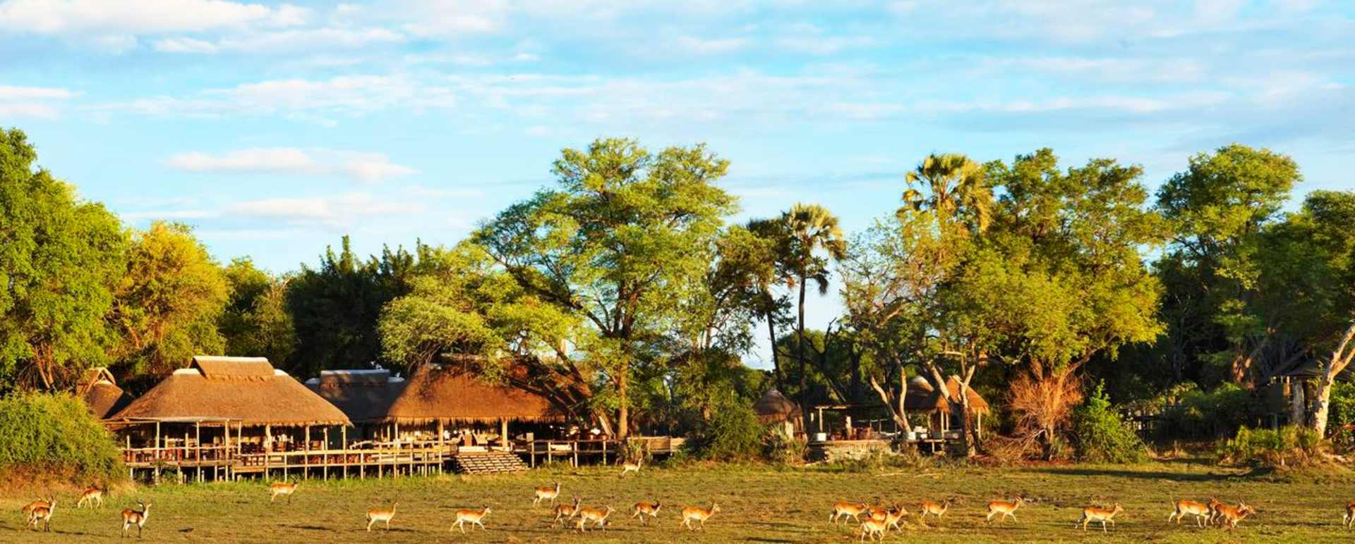 Mombo Camp