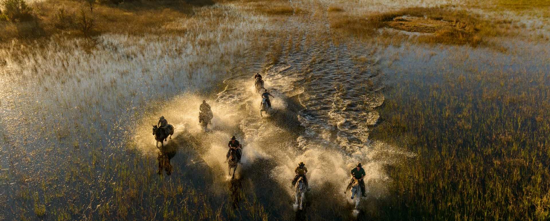Horse riding in the Delta - Wild Botswana Riding Safari