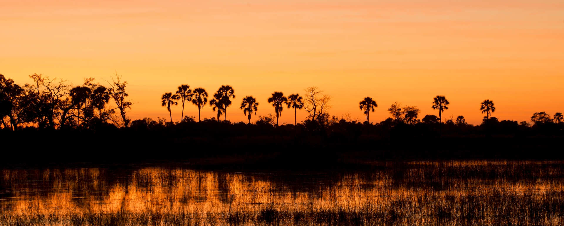 Sunset in the Delta