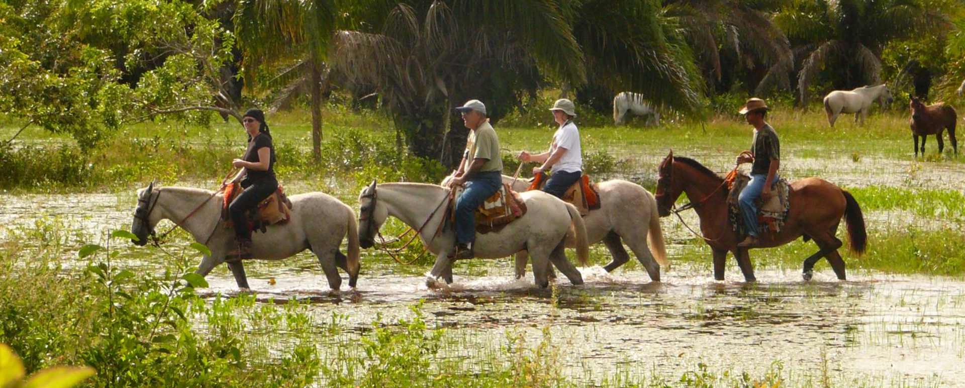 Araras Eco Lodge - Horse Ride