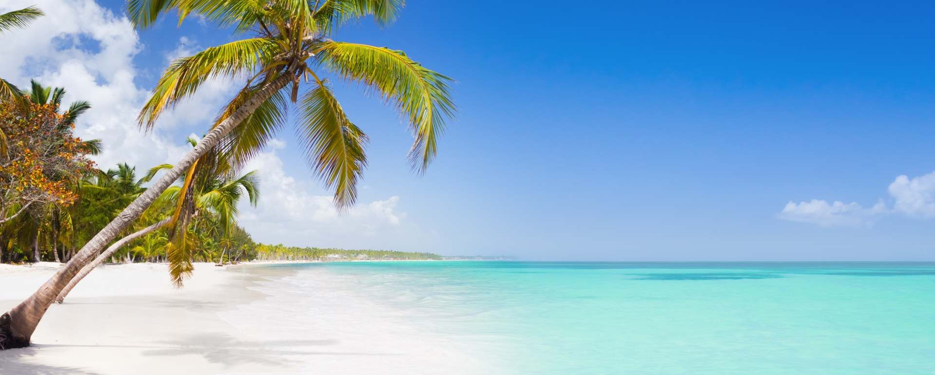 Caribbean