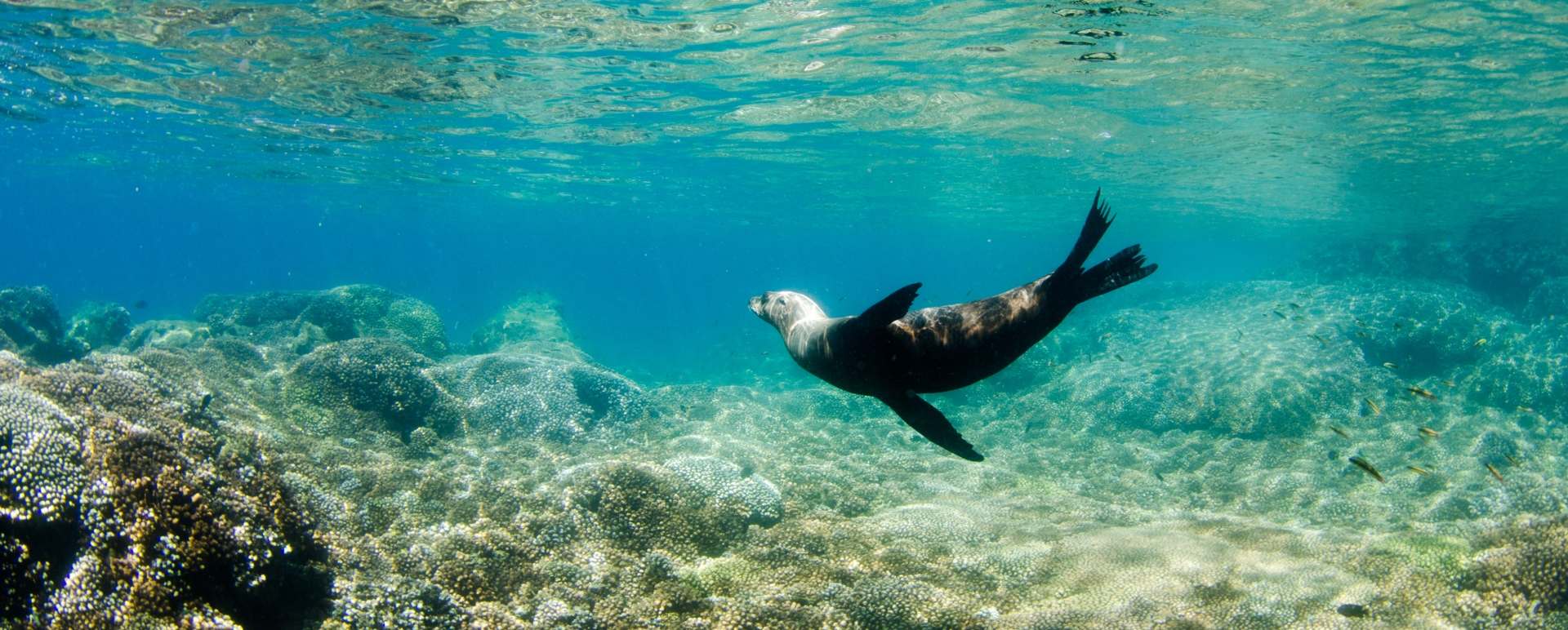 Islas Ispiritu Santo