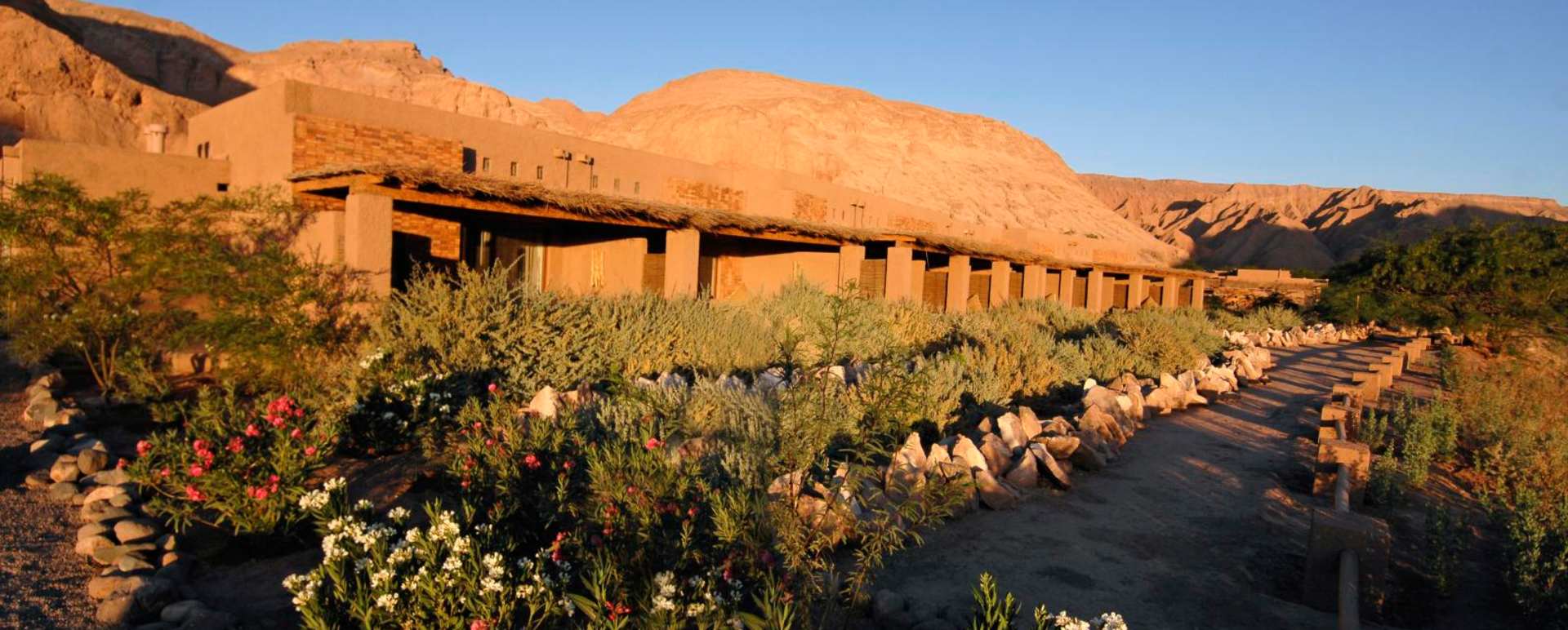 Gardens - Alto Atacama Desert Lodge & Spa