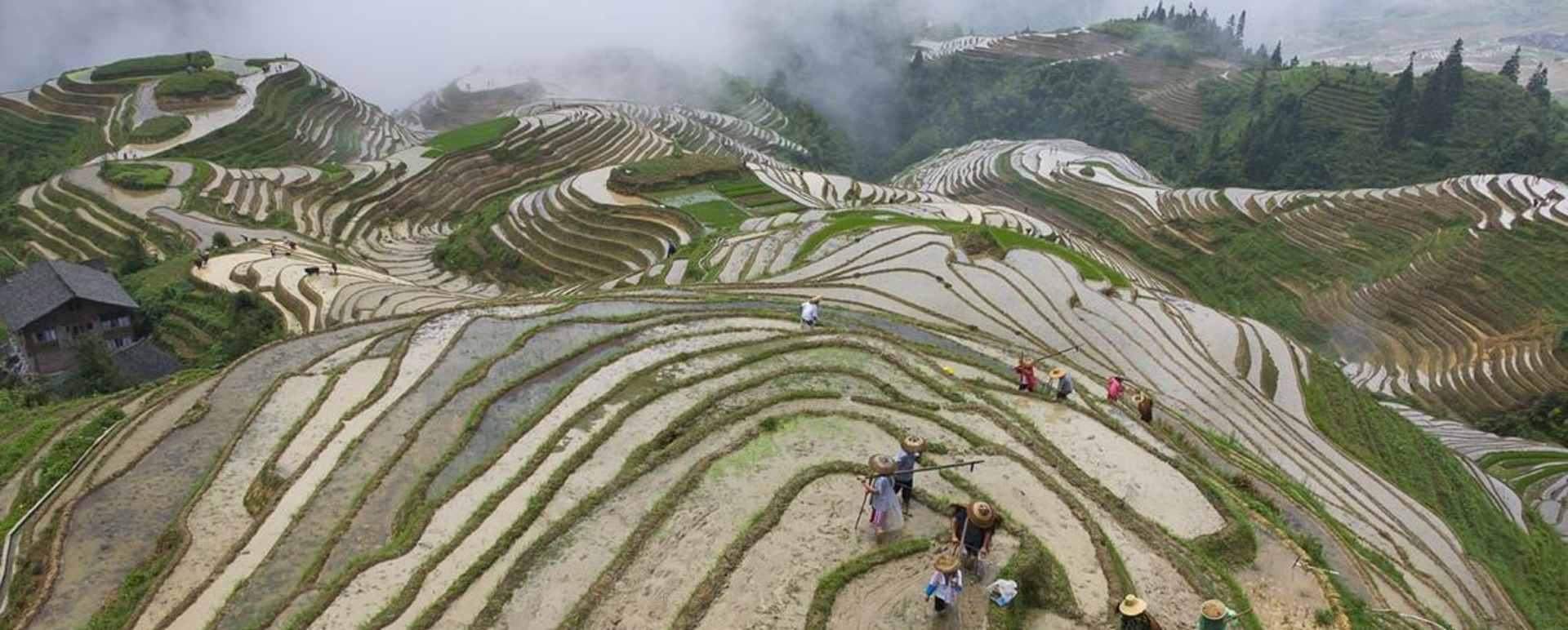 Li An Lodge   - Rice Terraces 