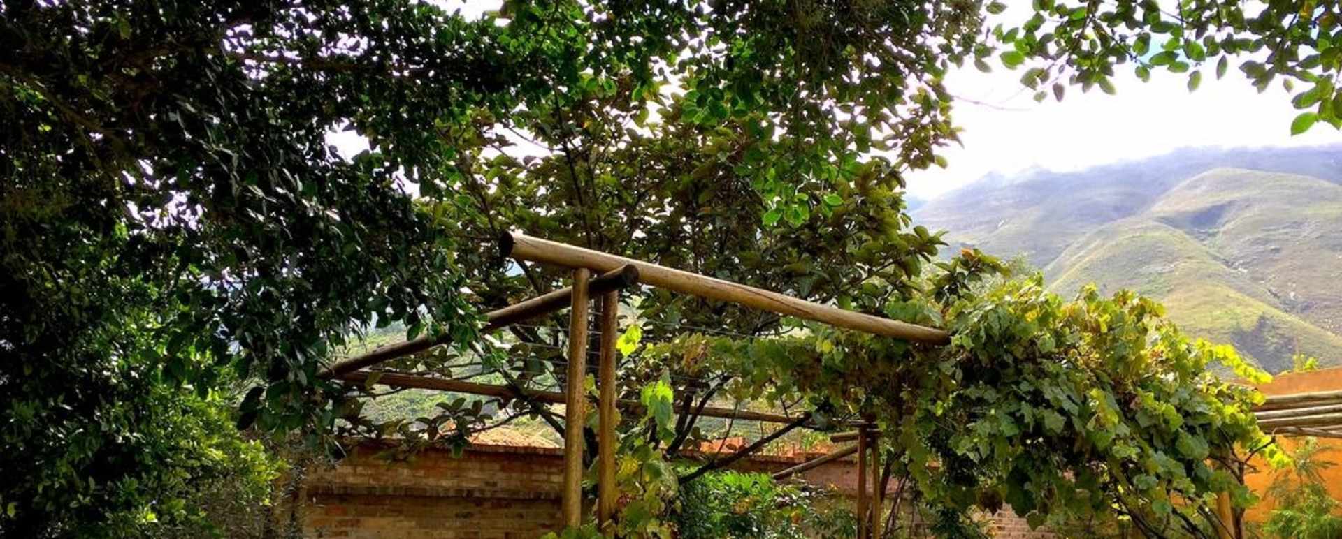 Gardens - 