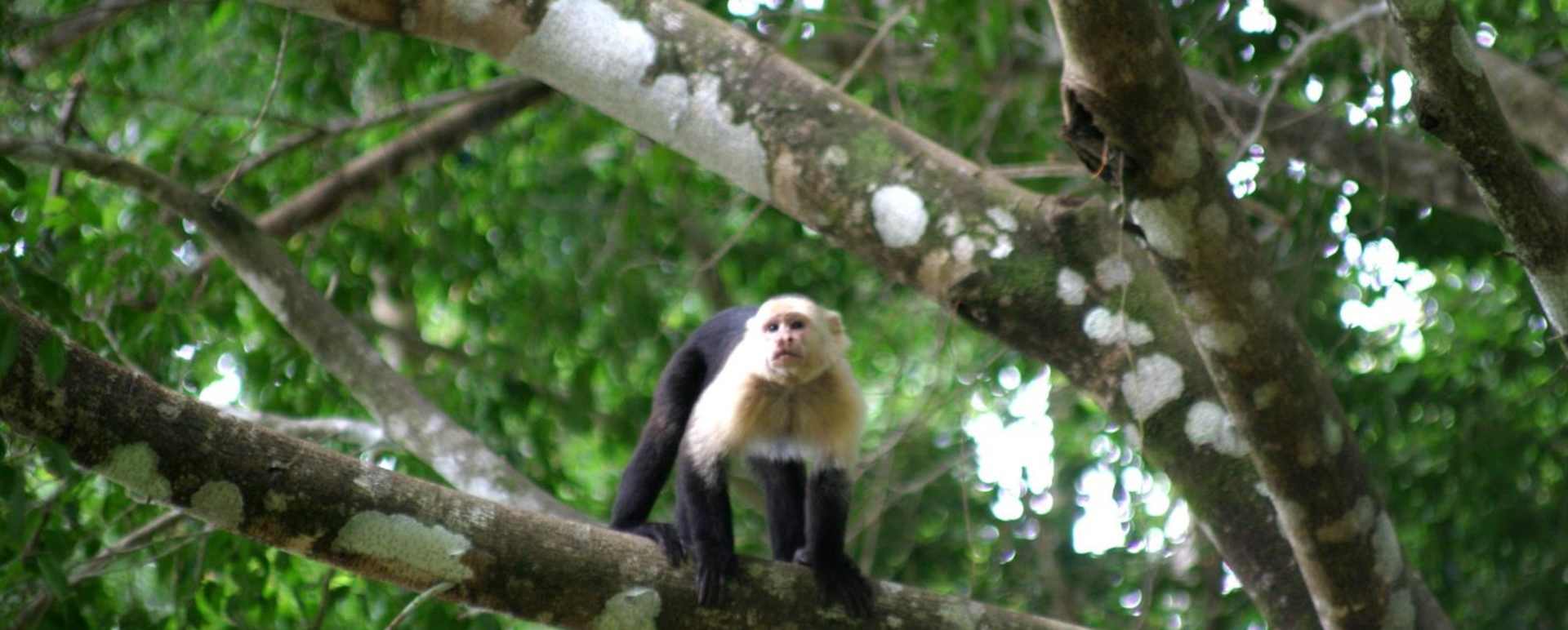 Manuel Antonio National Park