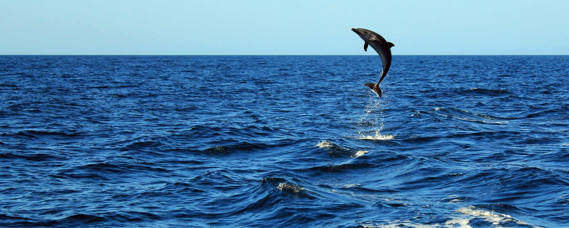 Extraordinary Costa Rica 