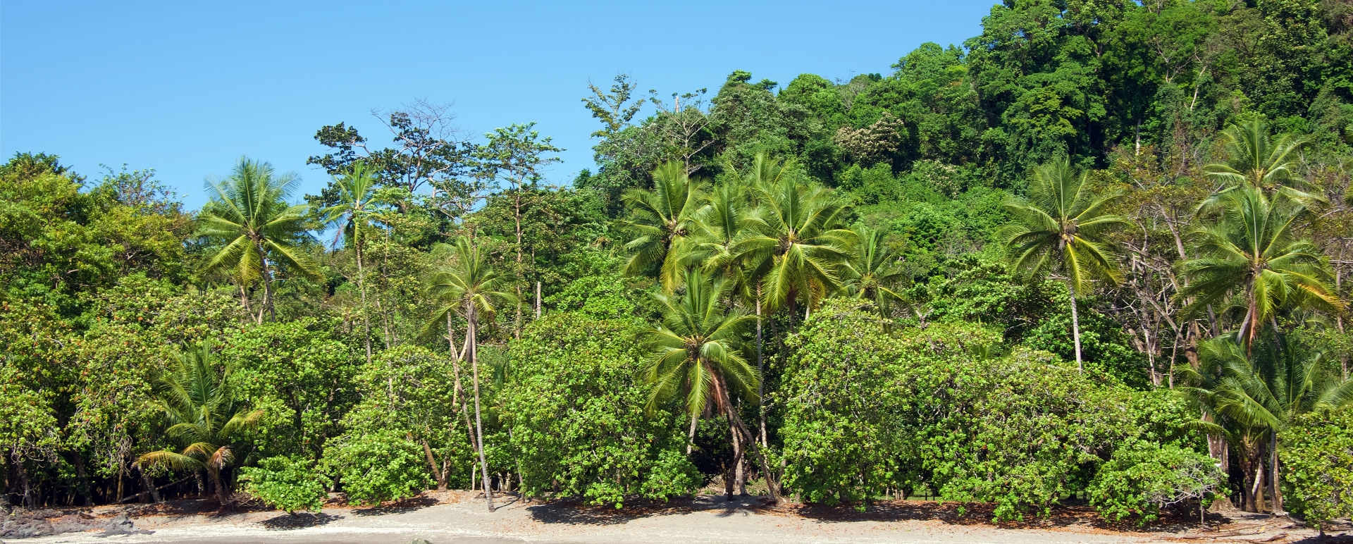 Beautiful Coastlines of the Osa Peninsula - Costa Rica for Teenagers