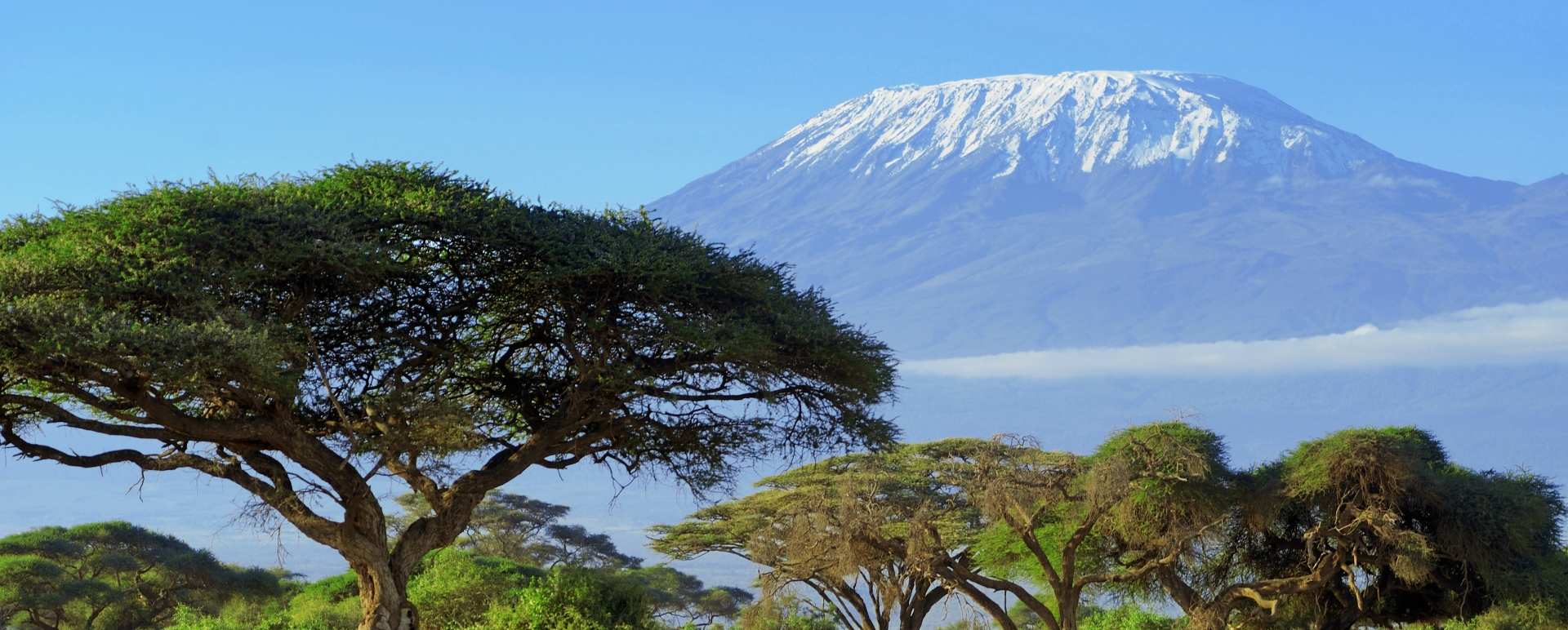 Amboseli National Park