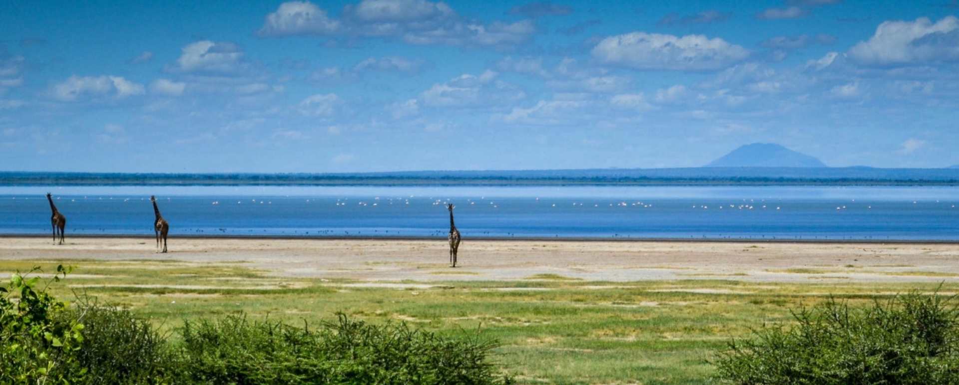 Lake Manyara National Park