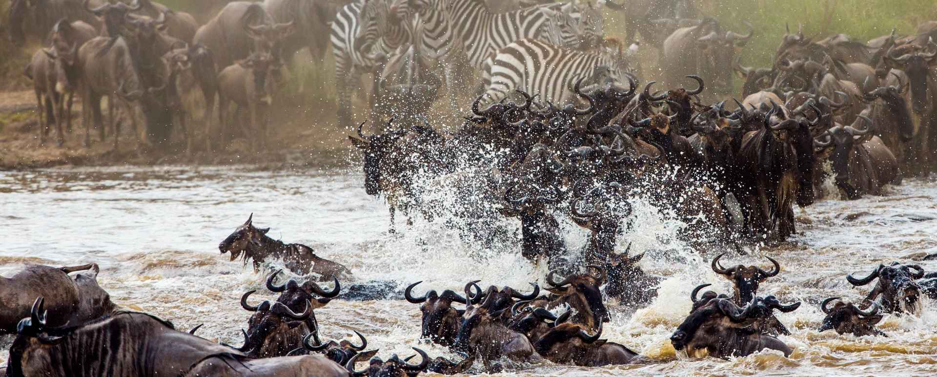 Maasai Mara