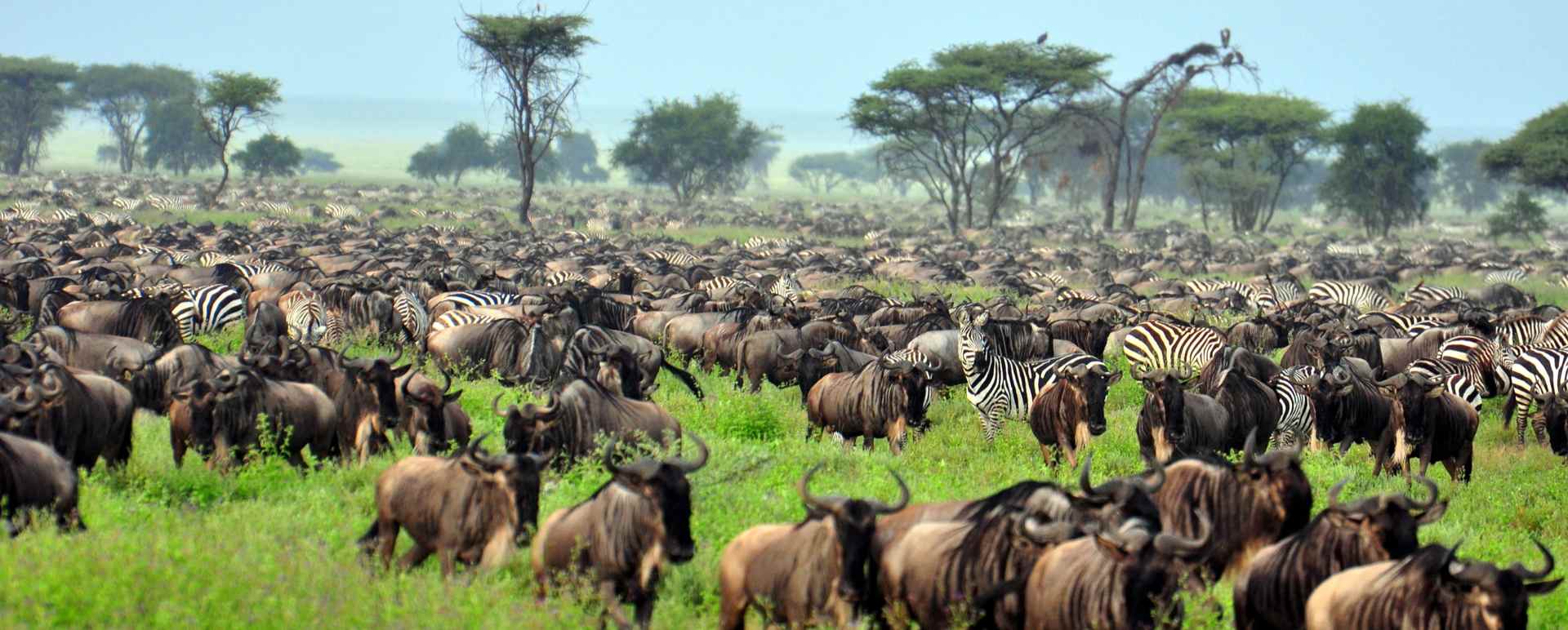 Serengeti National Park