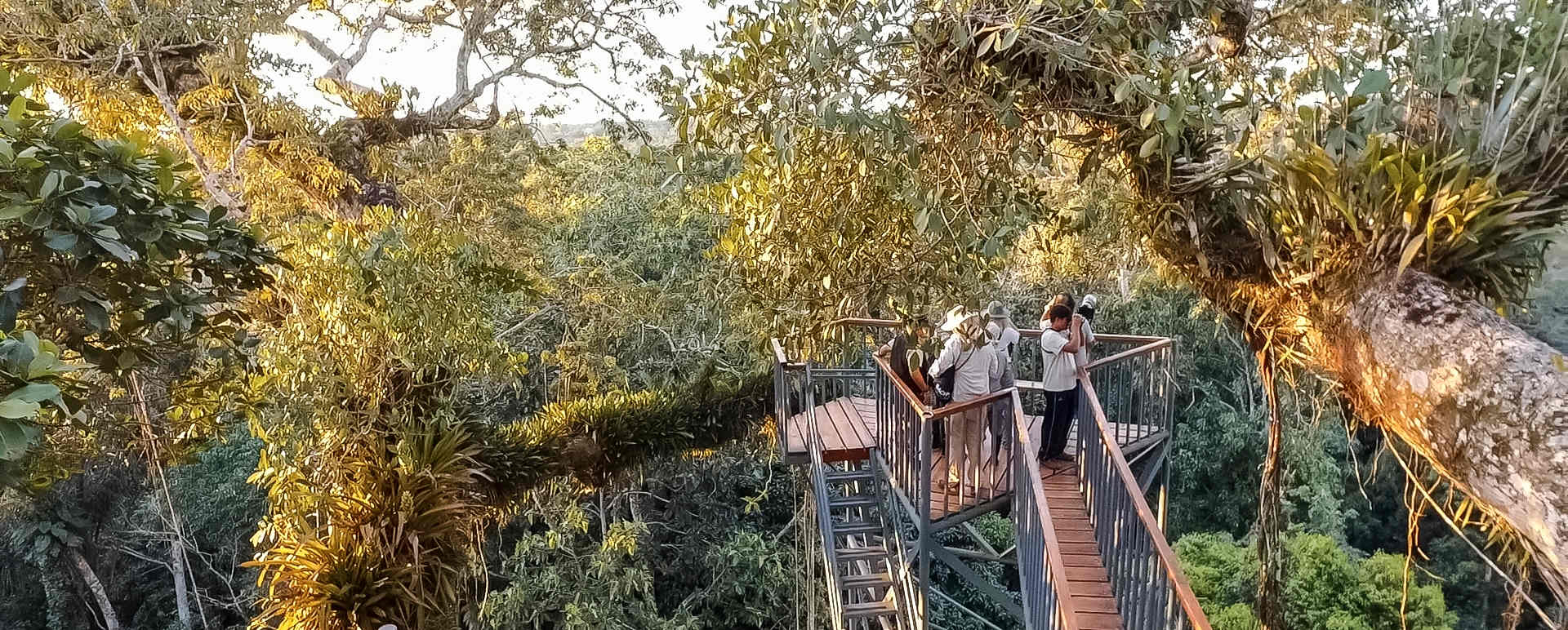 Canopy Tower 