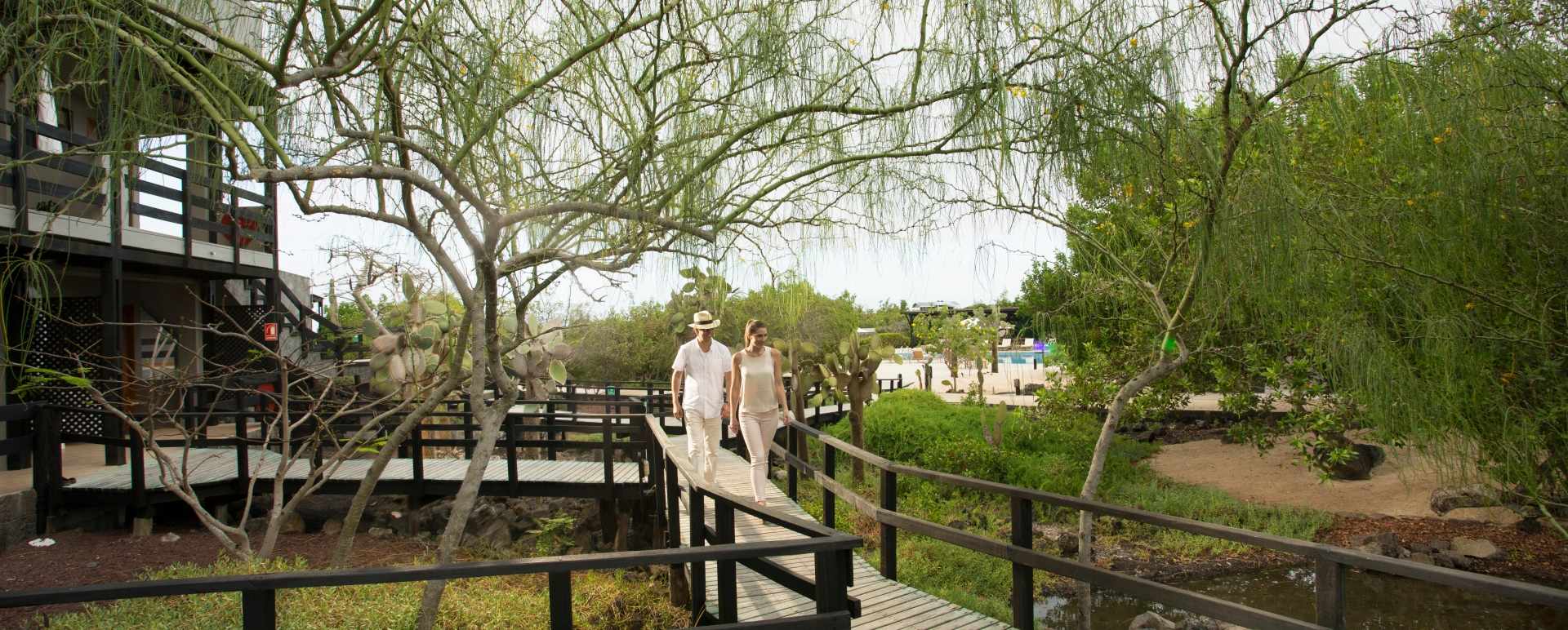 Gardens and walkways