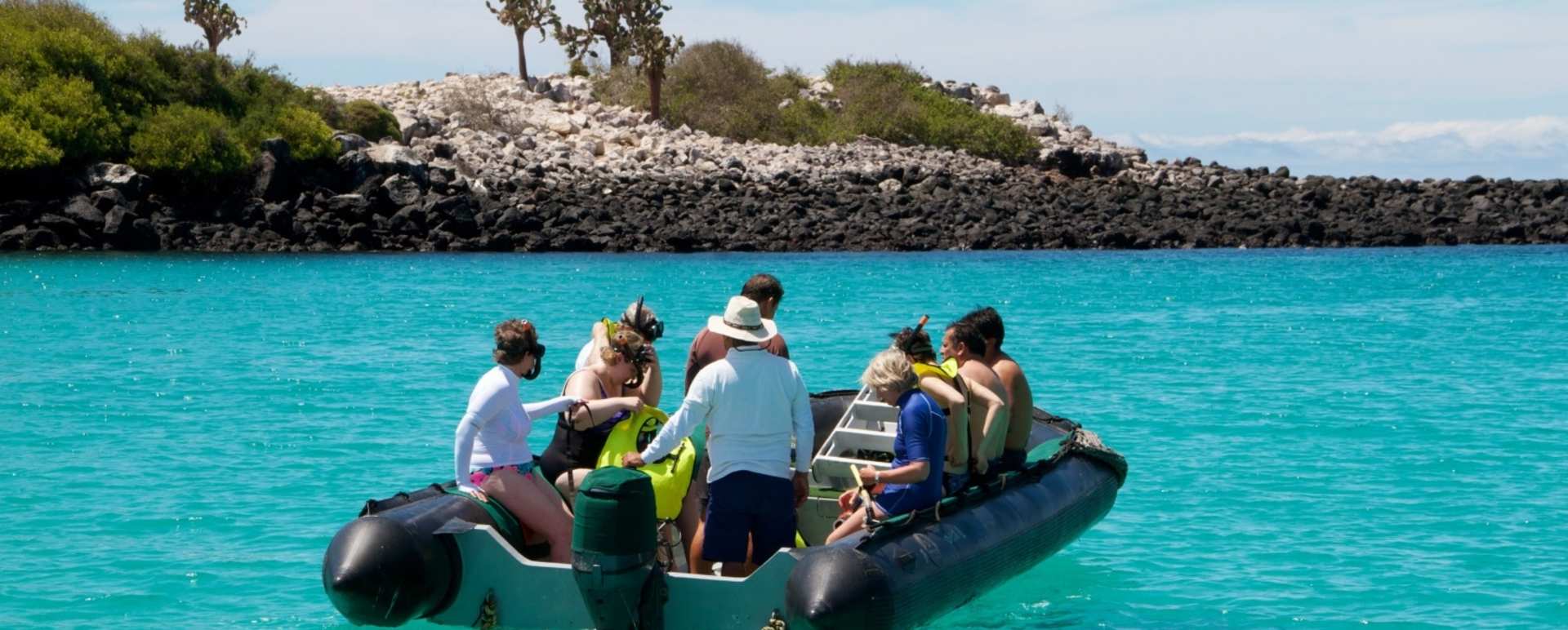 Excursions on the Sea Lion