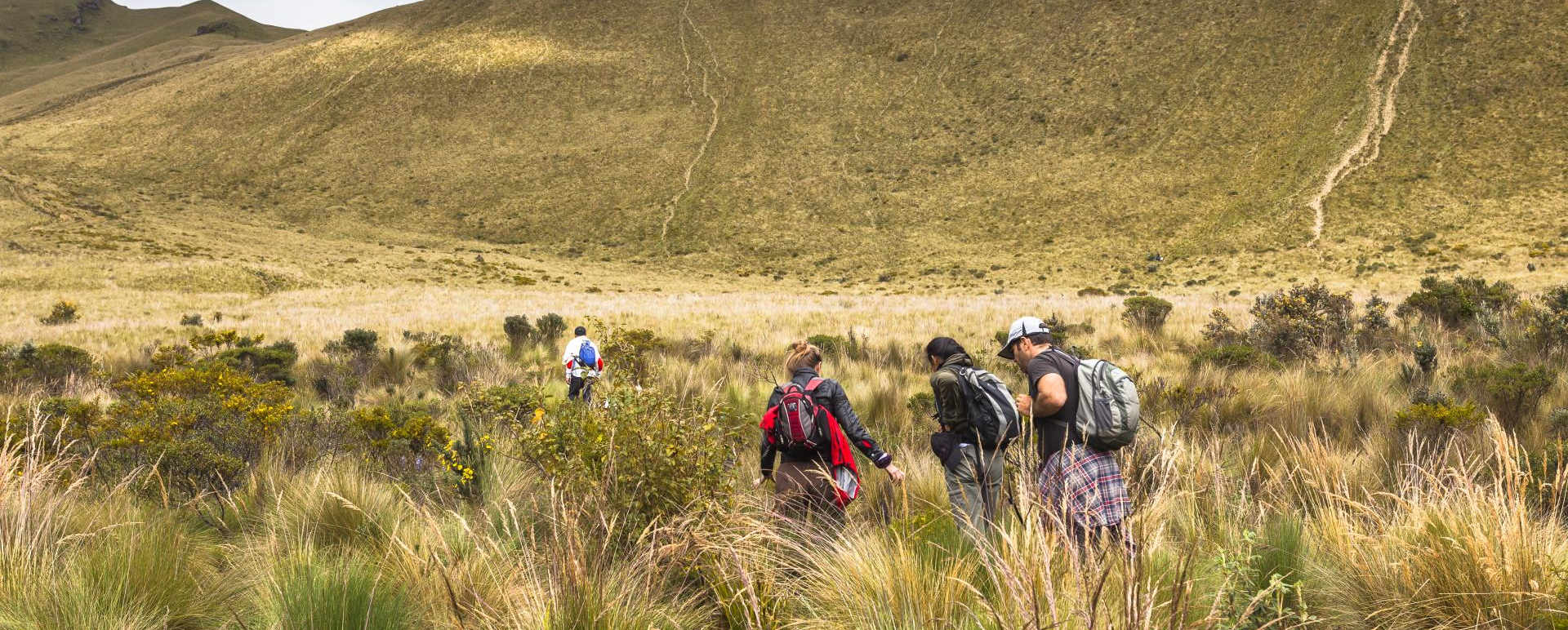 Hiking and trekking at Hacienda Zuleta