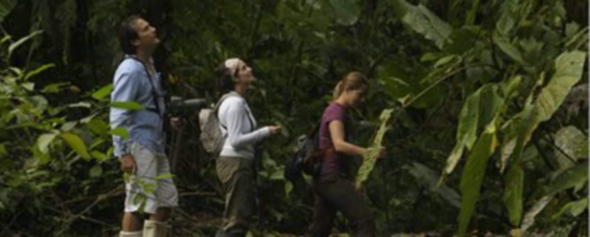 Hiking trails at Mashpi
