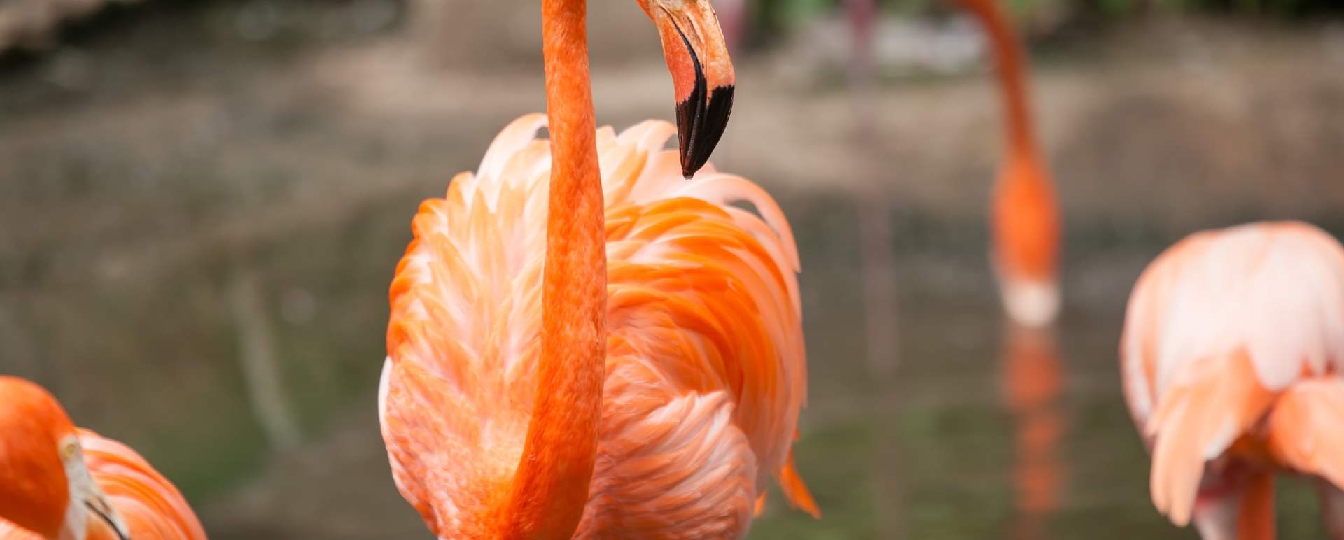 Epic Ecuador and Galapagos 