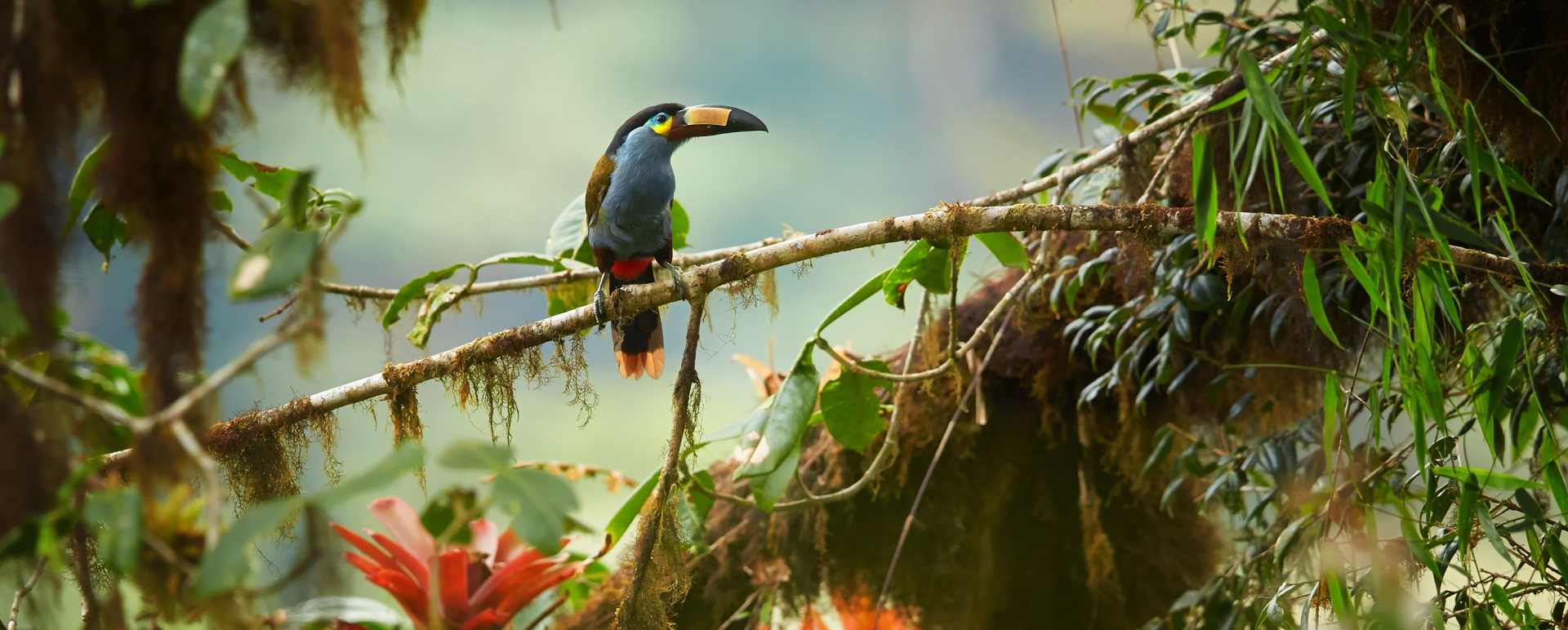 Epic Ecuador and Galapagos 