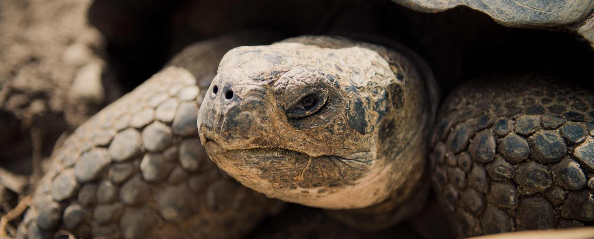 Ultimate Peru and Galapagos 