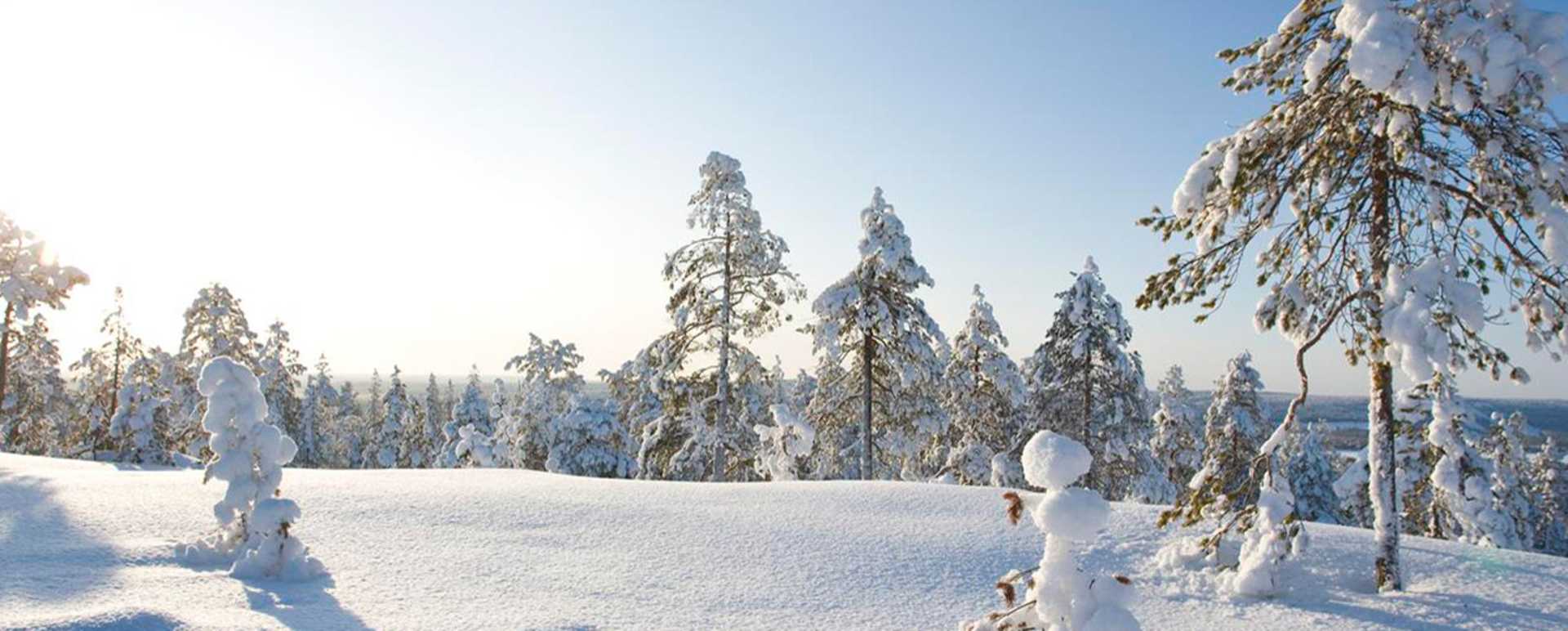 Lapland