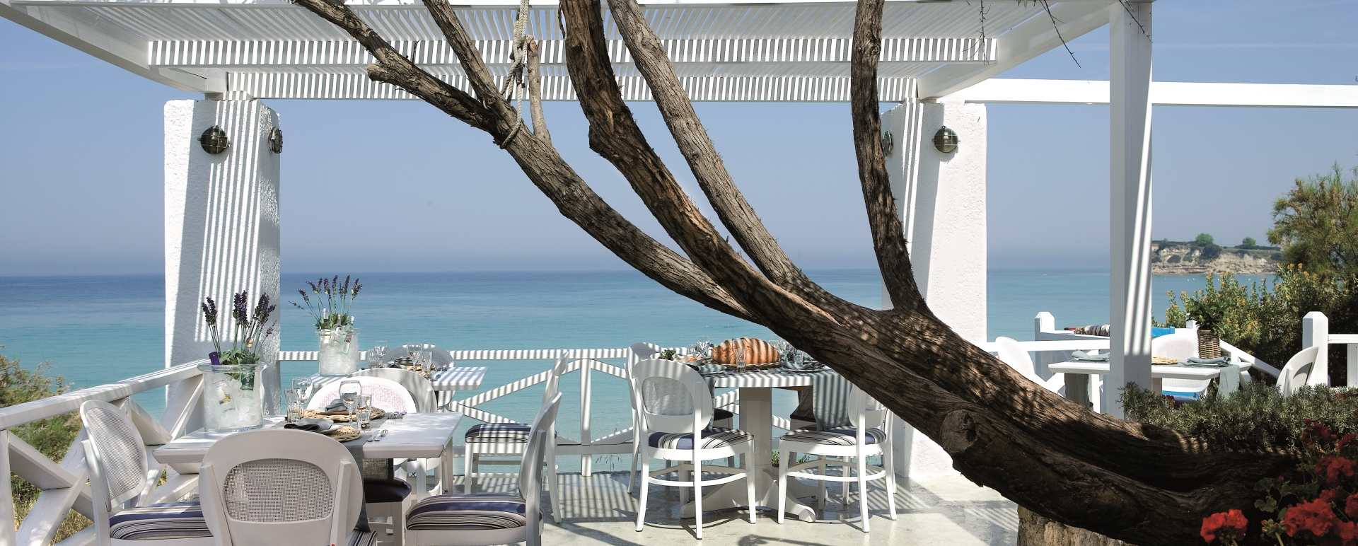 Ouzerie Restaurant - Sani Club