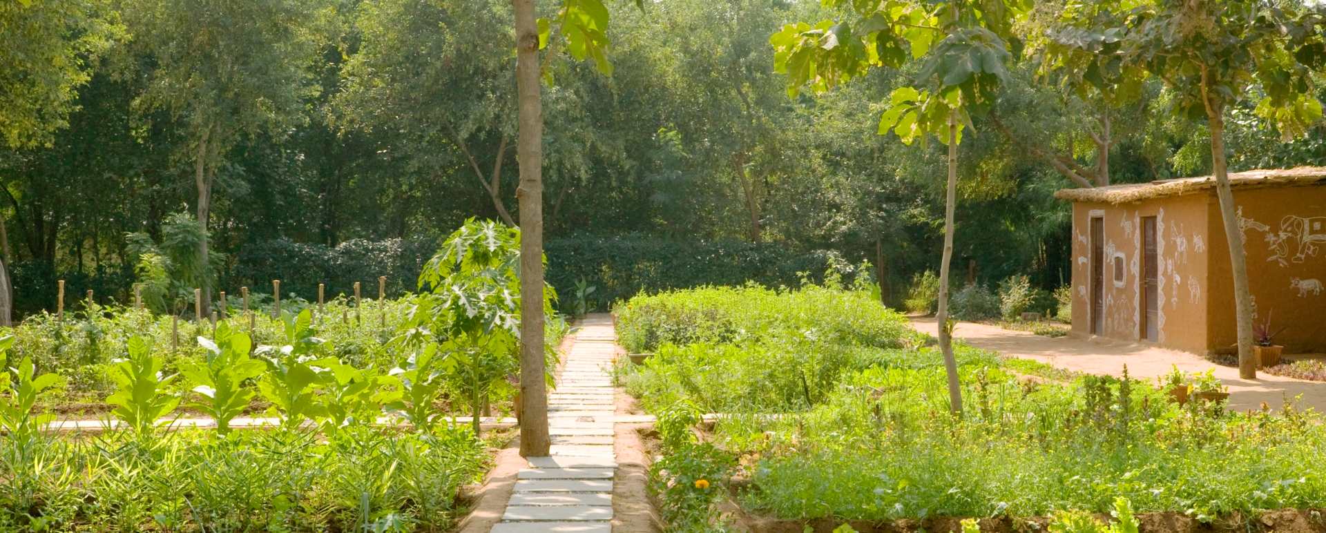 Organic Garden - Aman-i-Khas