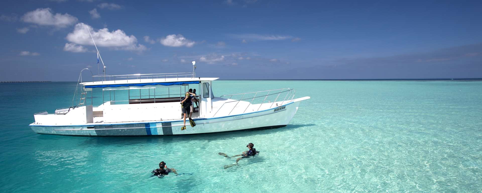 Diving - Kerala and the Maldives